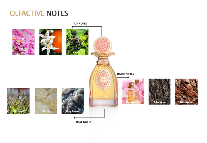 SHABAB (YOUTH POTION) FLORAL, WOODY & WARM  ELEGANT, ROMANTIC, AND TIMELESS